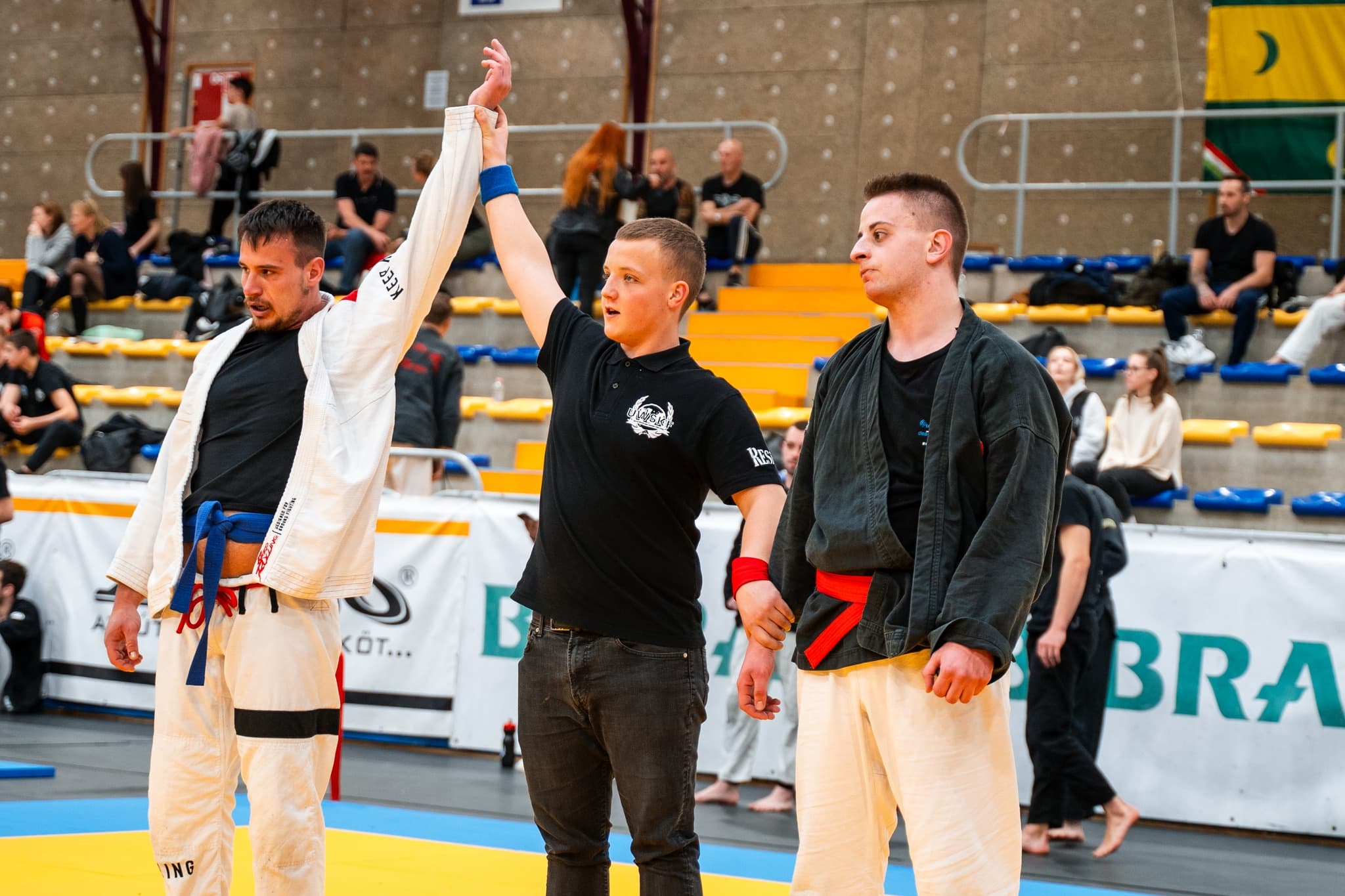 Földharc MMA edzés Budapest